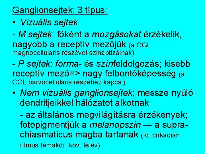 Ganglionsejtek: 3 típus: • Vizuális sejtek - M sejtek: főként a mozgásokat érzékelik, nagyobb