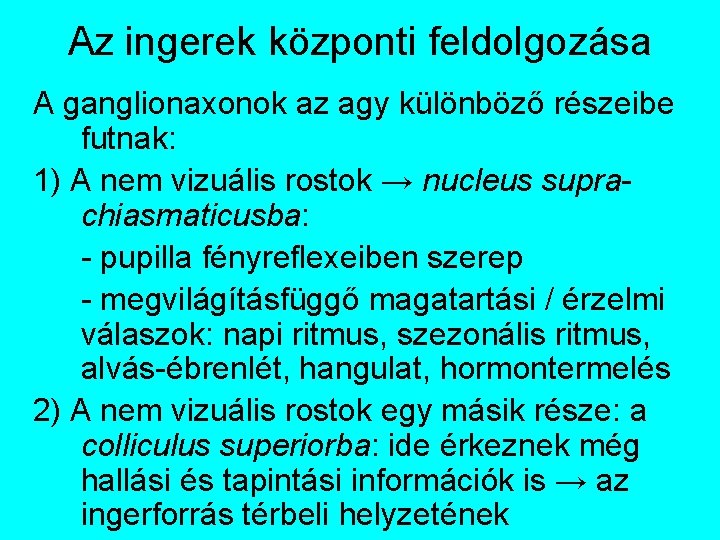 Az ingerek központi feldolgozása A ganglionaxonok az agy különböző részeibe futnak: 1) A nem