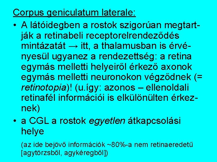 Corpus geniculatum laterale: • A látóidegben a rostok szigorúan megtartják a retinabeli receptorelrendeződés mintázatát
