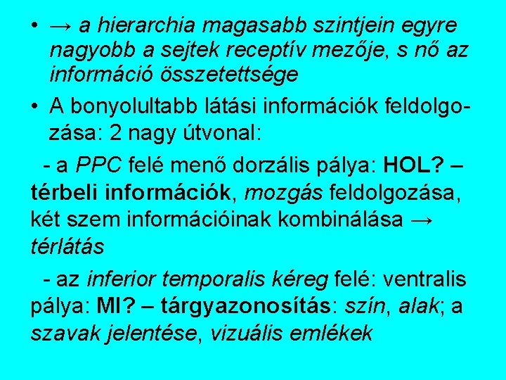  • → a hierarchia magasabb szintjein egyre nagyobb a sejtek receptív mezője, s