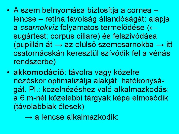  • A szem belnyomása biztosítja a cornea – lencse – retina távolság állandóságát: