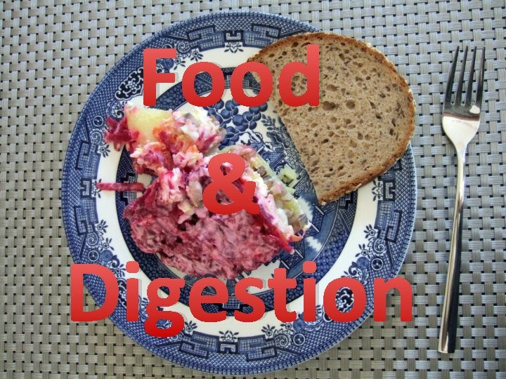 Food & Digestion 