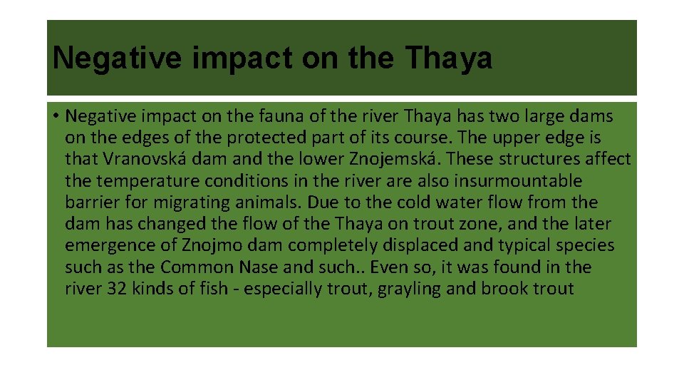 Negative impact on the Thaya • Negative impact on the fauna of the river