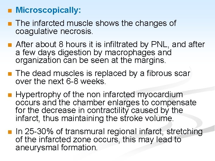 n Microscopically: n The infarcted muscle shows the changes of coagulative necrosis. n After