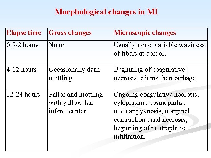 Morphological changes in MI Elapse time Gross changes Microscopic changes 0. 5 -2 hours