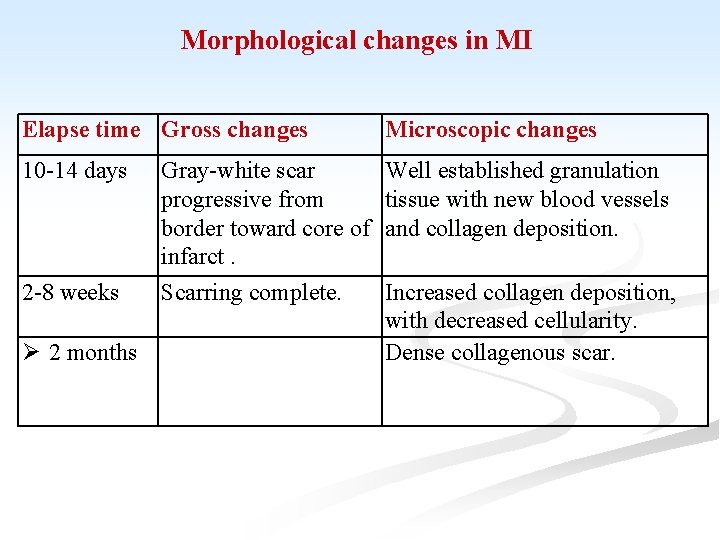 Morphological changes in MI Elapse time Gross changes Microscopic changes 10 -14 days Well