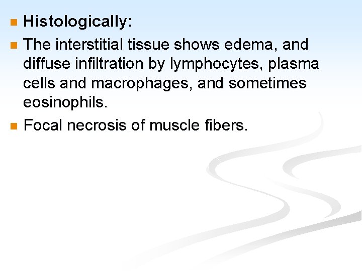 Histologically: n The interstitial tissue shows edema, and diffuse infiltration by lymphocytes, plasma cells