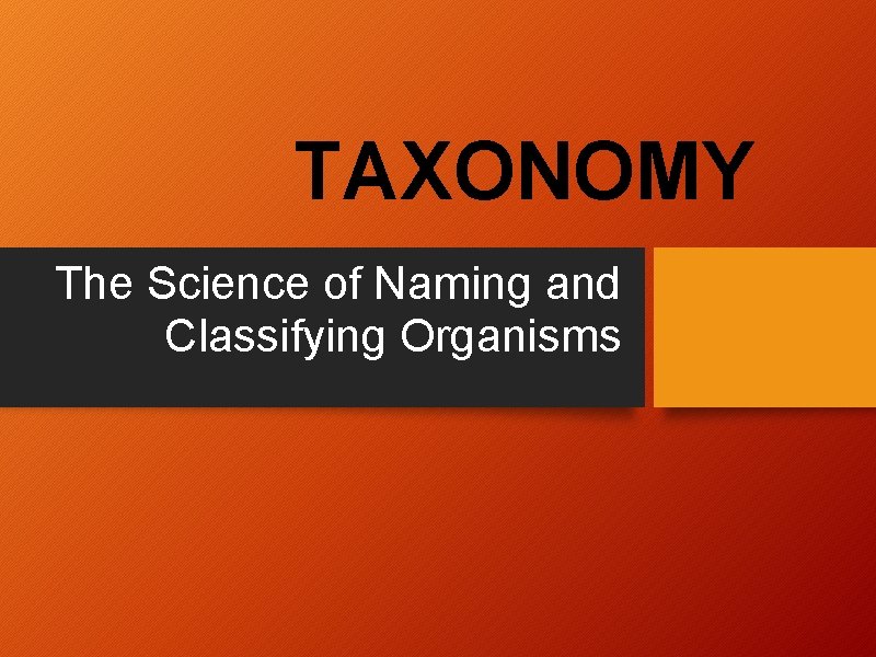 TAXONOMY The Science of Naming and Classifying Organisms 