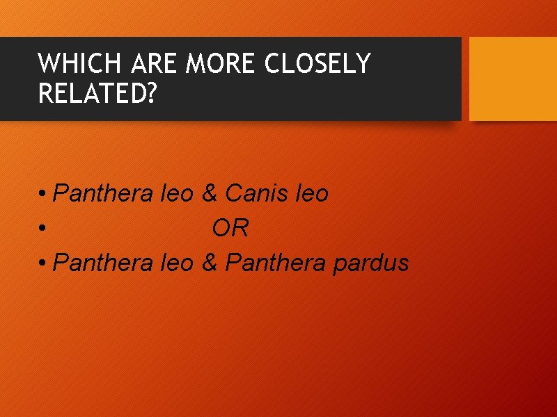 WHICH ARE MORE CLOSELY RELATED? • Panthera leo & Canis leo • OR •