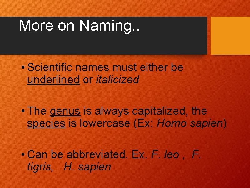 More on Naming. . • Scientific names must either be underlined or italicized •