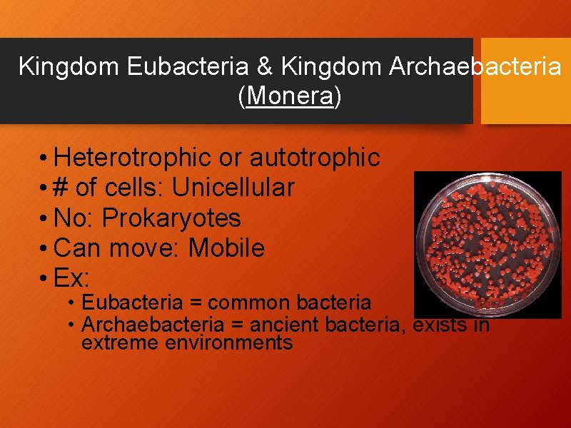 Kingdom Eubacteria & Kingdom Archaebacteria (Monera) • Heterotrophic or autotrophic • # of cells: