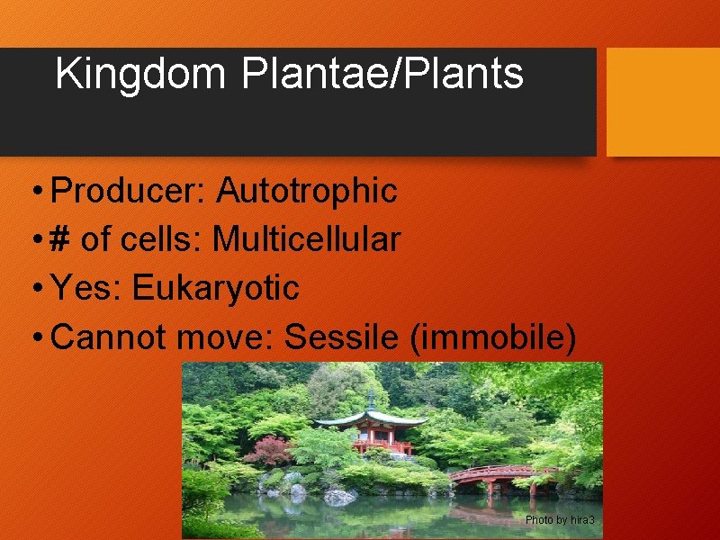 Kingdom Plantae/Plants • Producer: Autotrophic • # of cells: Multicellular • Yes: Eukaryotic •