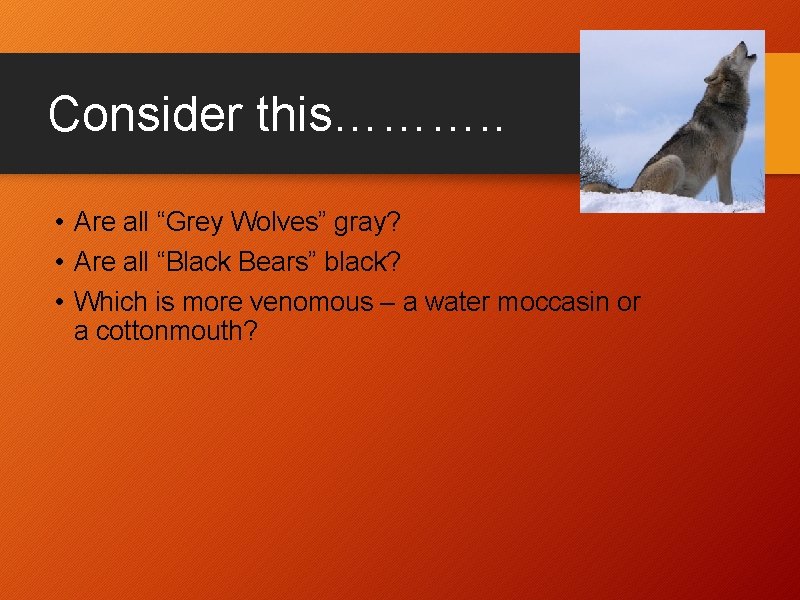 Consider this………. . • Are all “Grey Wolves” gray? • Are all “Black Bears”