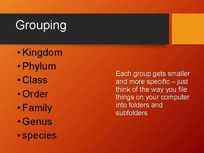 Grouping • Kingdom • Phylum • Class • Order • Family • Genus •