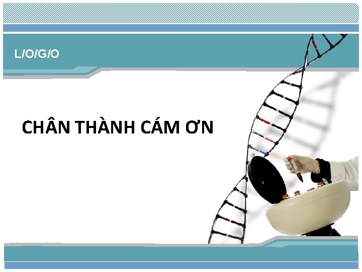 L/O/G/O CH N THÀNH CÁM ƠN 