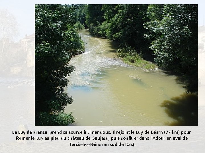 Le Luy de France prend sa source à Limendous. Il rejoint le Luy de