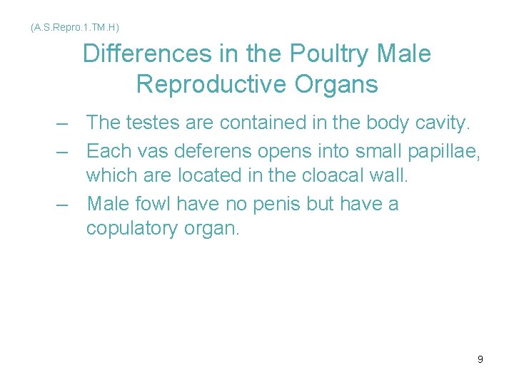 (A. S. Repro. 1. TM. H) Differences in the Poultry Male Reproductive Organs –