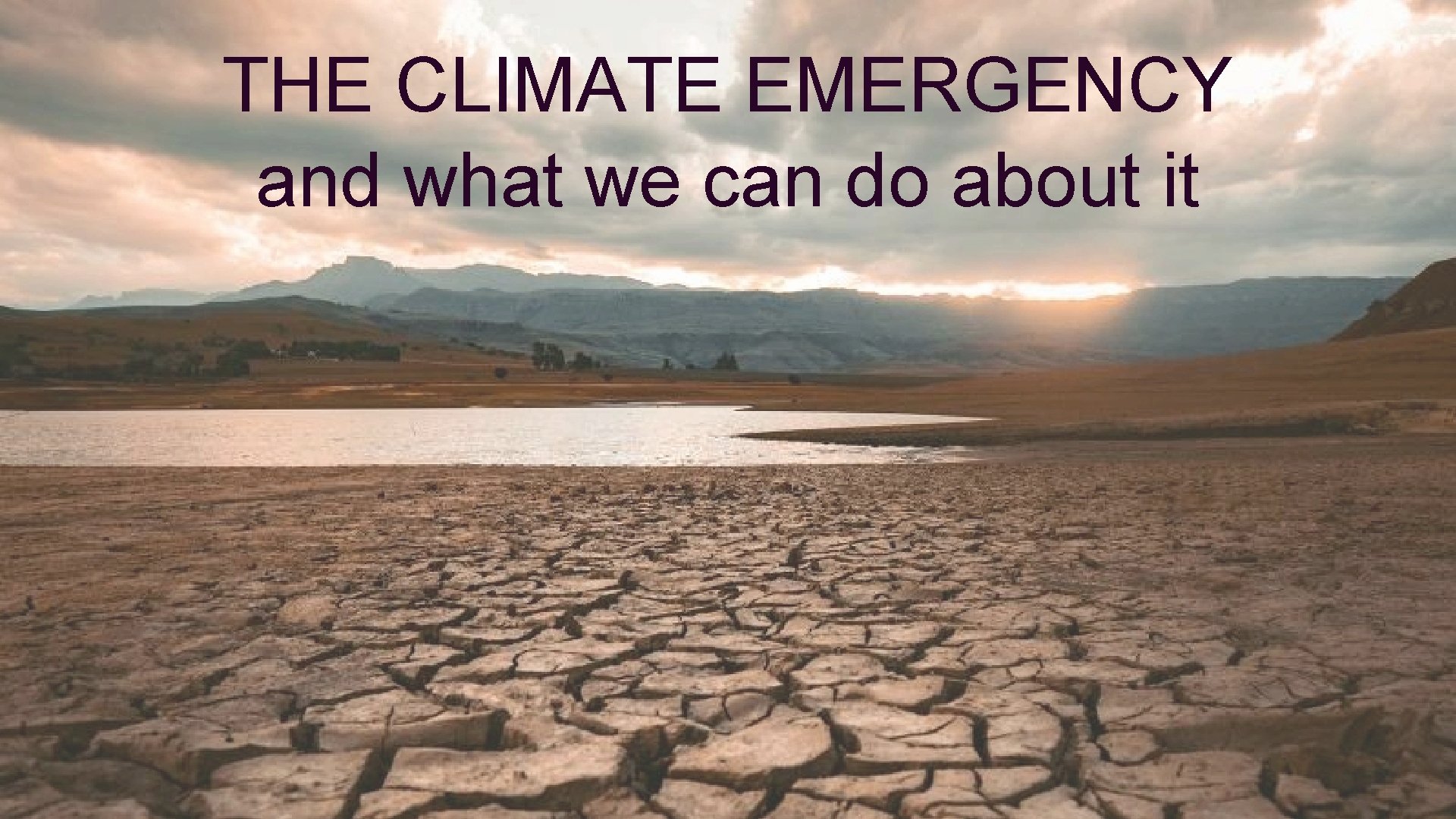 THE CLIMATE EMERGENCY and what we can do