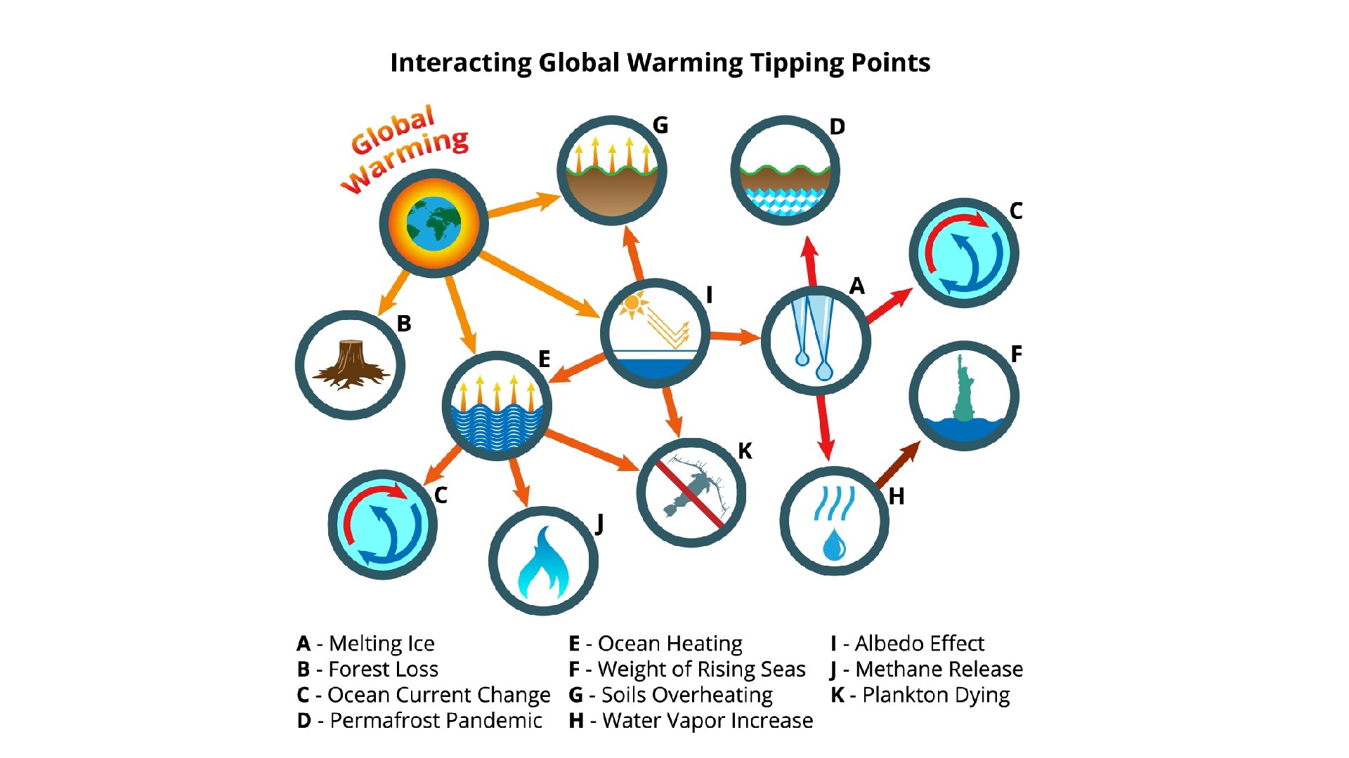 THE CLIMATE EMERGENCY and what we can do
