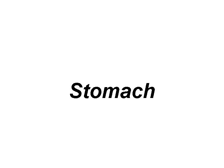 Stomach 