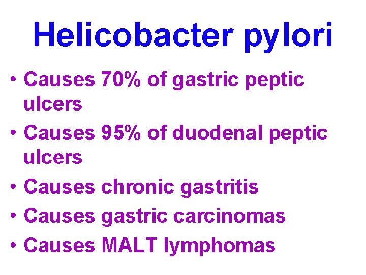 Helicobacter pylori • Causes 70% of gastric peptic ulcers • Causes 95% of duodenal
