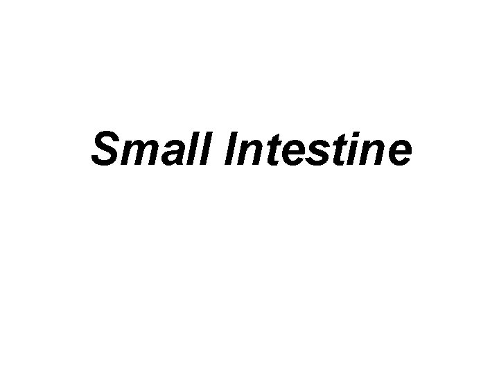 Small Intestine 