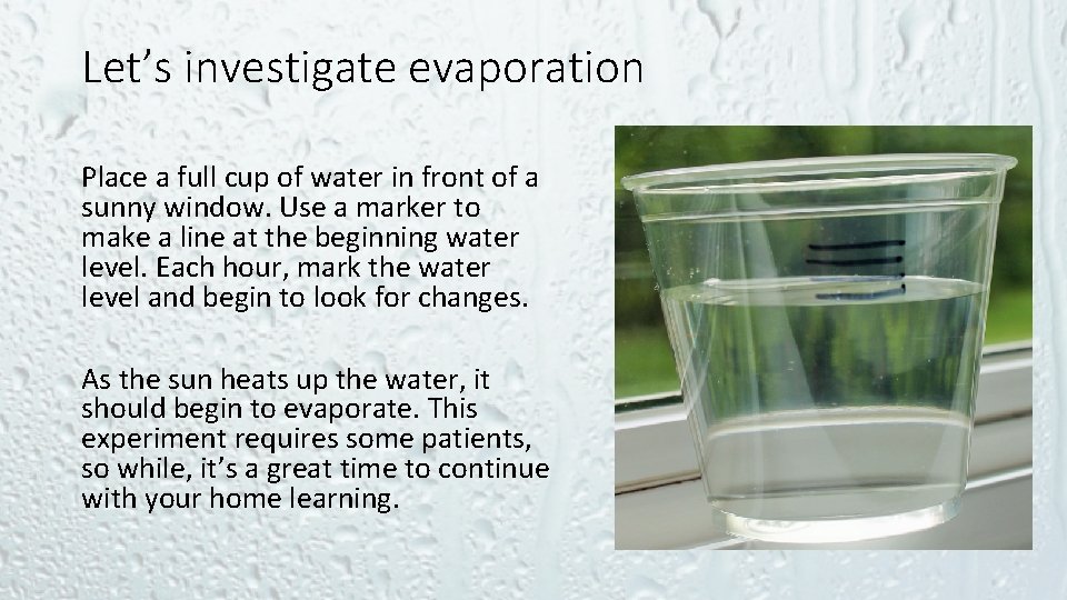 Let’s investigate evaporation Place a full cup of water in front of a sunny
