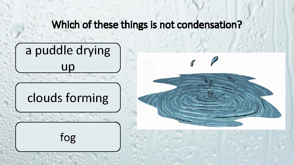 Which of these things is not condensation? a puddle drying up clouds forming fog