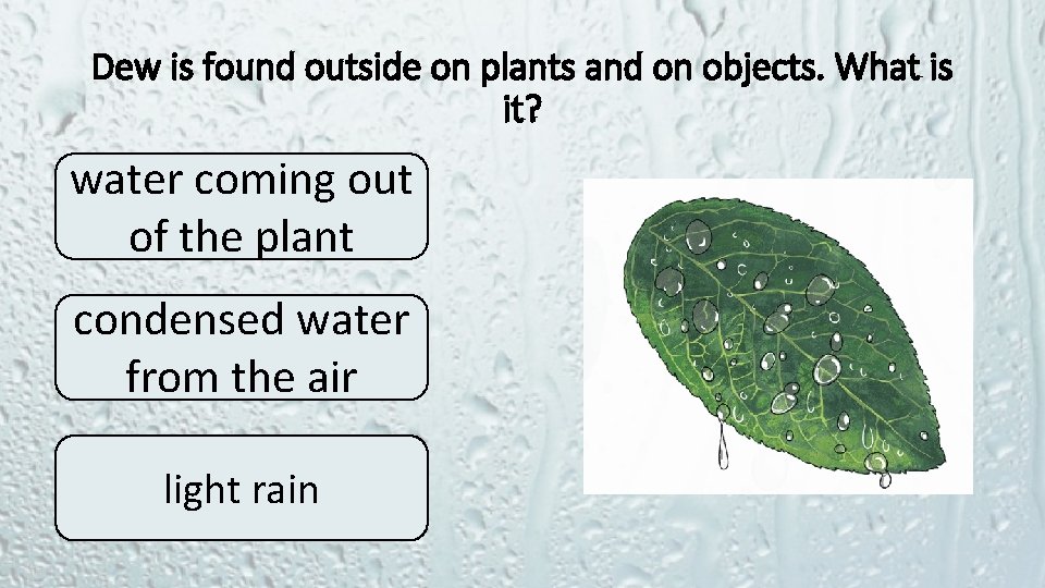 Dew is found outside on plants and on objects. What is it? water coming