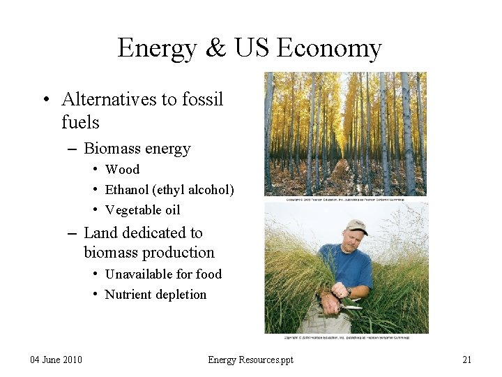 Energy & US Economy • Alternatives to fossil fuels – Biomass energy • Wood