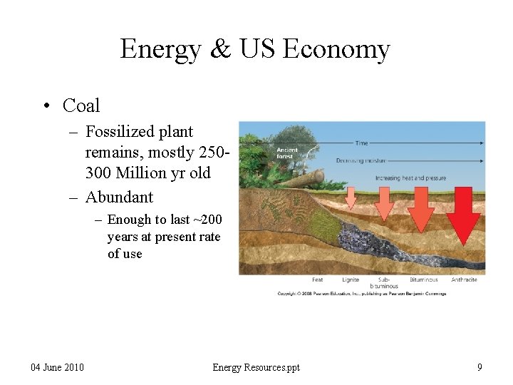 Energy & US Economy • Coal – Fossilized plant remains, mostly 250300 Million yr