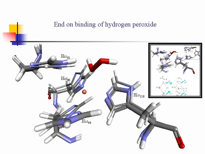End on binding of hydrogen peroxide His 61 His 46 His 118 His 44