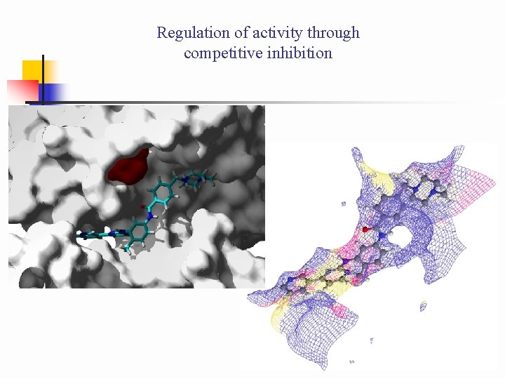 Regulation of activity through competitive inhibition 