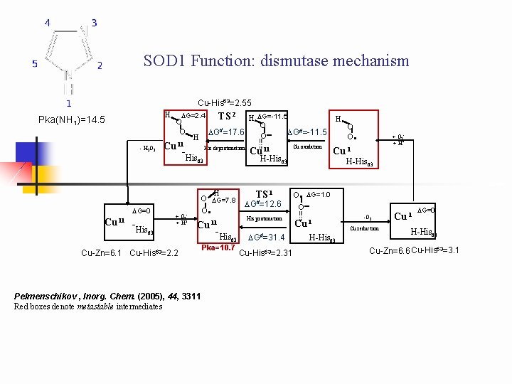 SOD 1 Function: dismutase mechanism Cu-His 63=2. 55 H Pka(NH 1)=14. 5 - H