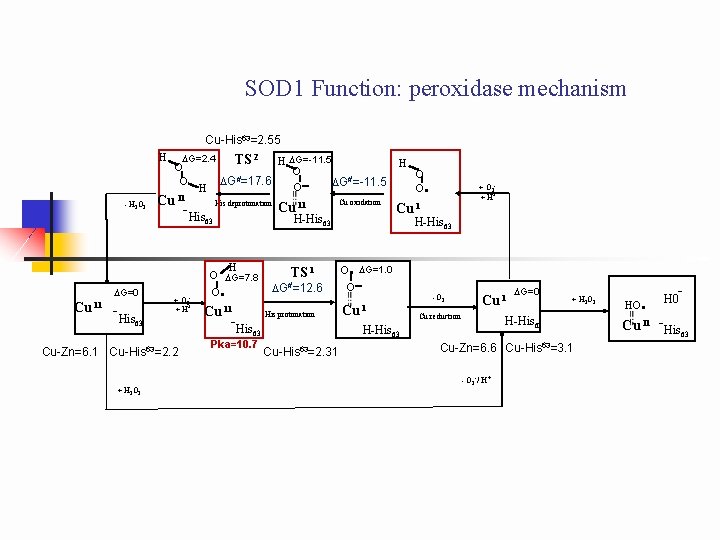 SOD 1 Function: peroxidase mechanism Cu-His 63=2. 55 H - H 2 O 2