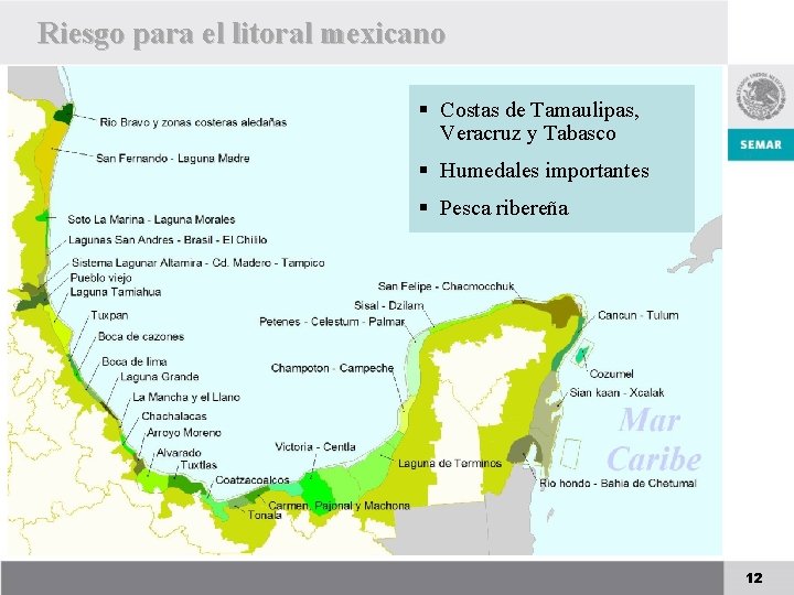 Riesgo para el litoral mexicano § Costas de Tamaulipas, Veracruz y Tabasco § Humedales