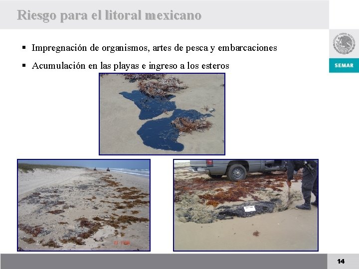 Riesgo para el litoral mexicano § Impregnación de organismos, artes de pesca y embarcaciones