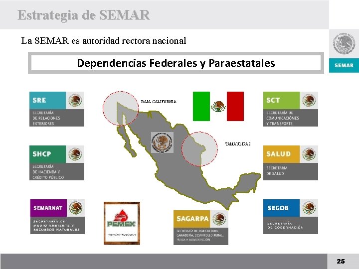 Estrategia de SEMAR La SEMAR es autoridad rectora nacional Dependencias Federales y Paraestatales BAJA