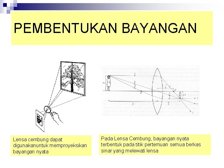 PEMBENTUKAN BAYANGAN Lensa cembung dapat digunakanuntuk memproyeksikan bayangan nyata Pada Lensa Cembung, bayangan nyata