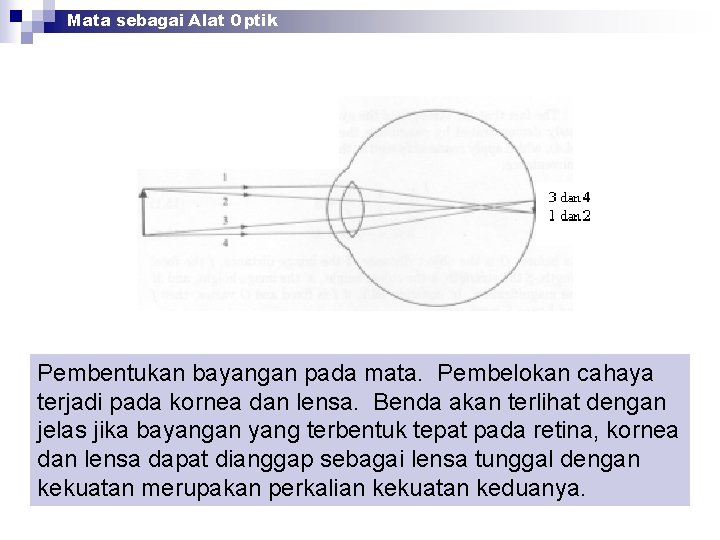 Mata sebagai Alat Optik Pembentukan bayangan pada mata. Pembelokan cahaya terjadi pada kornea dan