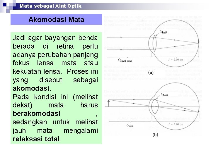 Mata sebagai Alat Optik Akomodasi Mata Jadi agar bayangan benda berada di retina perlu