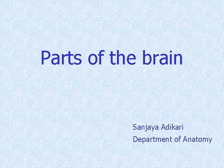 Parts of the brain Sanjaya Adikari Department of Anatomy 