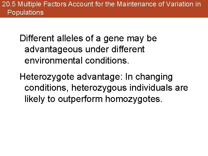 20. 5 Multiple Factors Account for the Maintenance of Variation in Populations Different alleles