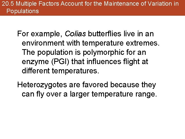 20. 5 Multiple Factors Account for the Maintenance of Variation in Populations For example,