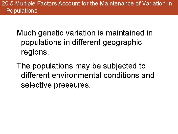 20. 5 Multiple Factors Account for the Maintenance of Variation in Populations Much genetic