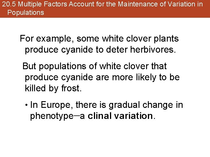 20. 5 Multiple Factors Account for the Maintenance of Variation in Populations For example,