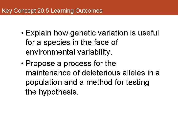 Key Concept 20. 5 Learning Outcomes • Explain how genetic variation is useful for