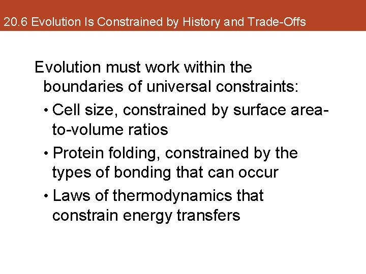 20. 6 Evolution Is Constrained by History and Trade-Offs Evolution must work within the