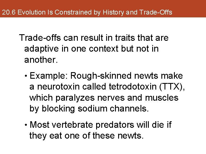 20. 6 Evolution Is Constrained by History and Trade-Offs Trade-offs can result in traits