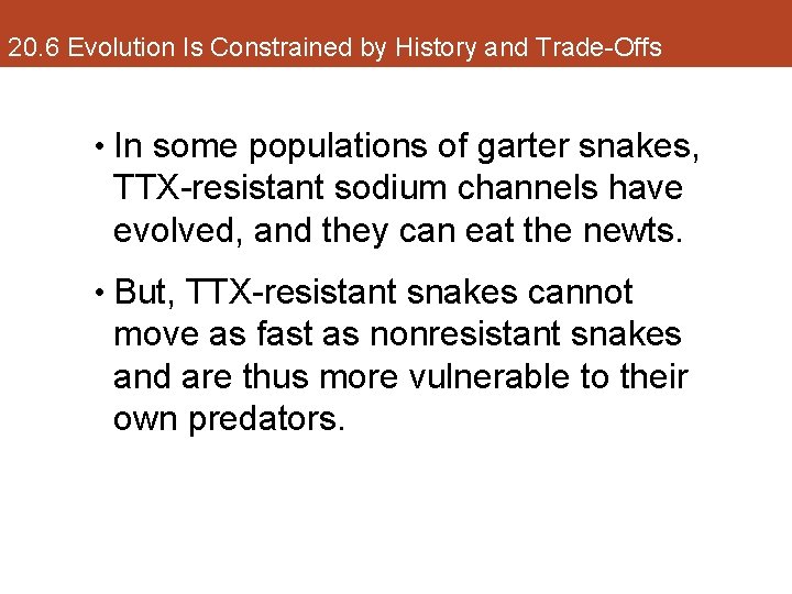 20. 6 Evolution Is Constrained by History and Trade-Offs • In some populations of